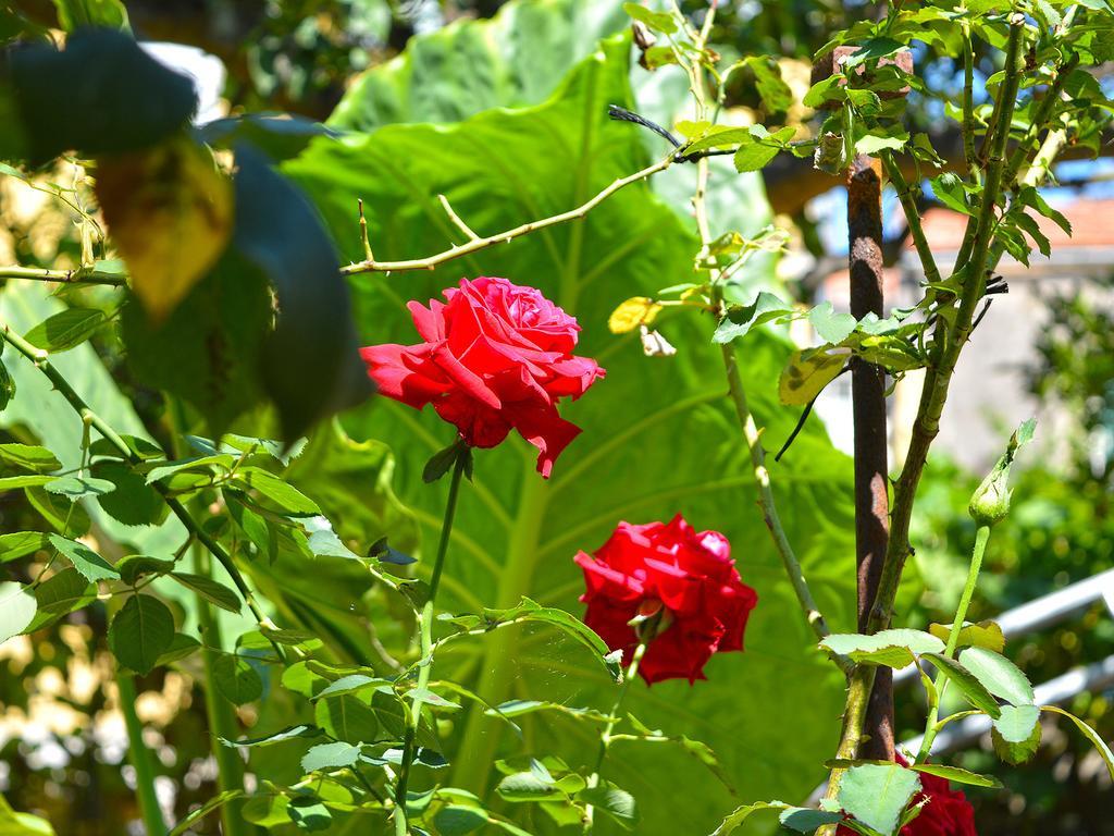 The Secret Garden Relais Hotel Piano di Sorrento Exterior photo